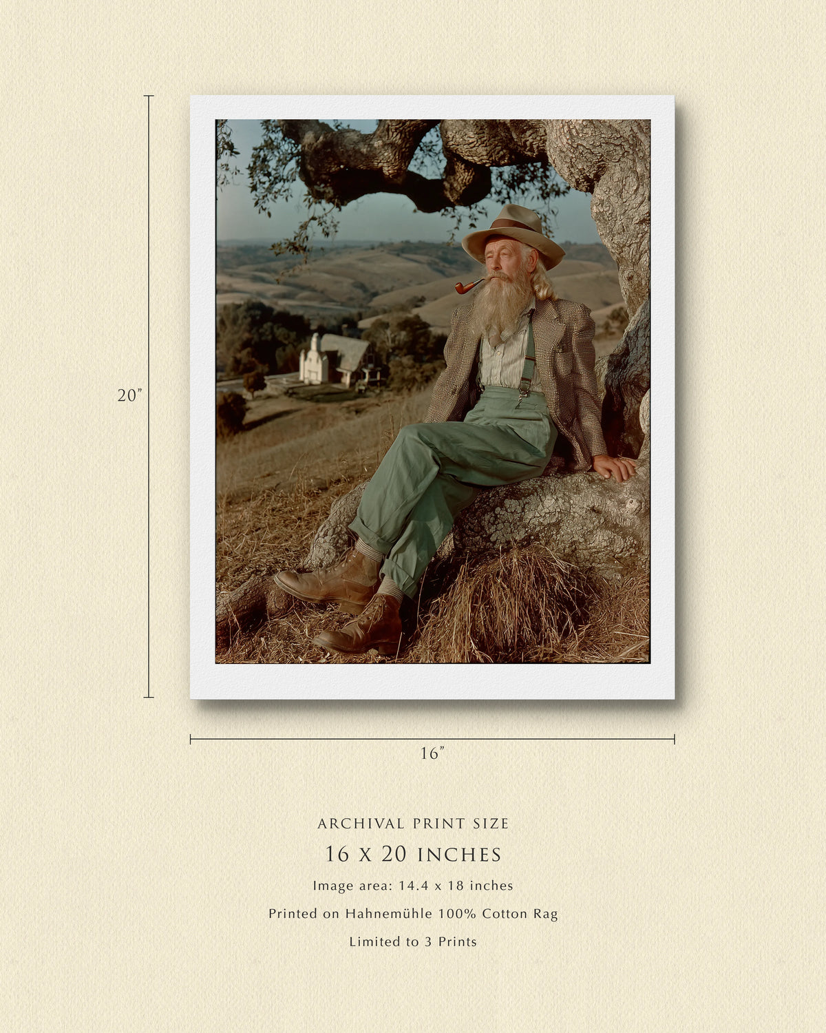 Plate XIX — Earned Stillness — Sonoma County, California, 1942