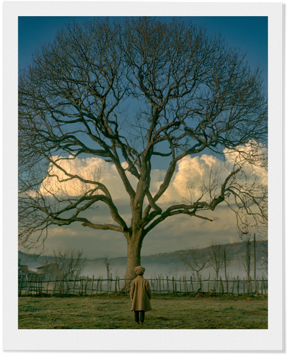 PLATE XIII — Safe Unknown — Floyd, Virginia, 1942